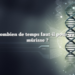 Question : combien de temps faut-il pour qu’une tomate mûrisse ?